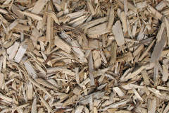 biomass boilers Blencogo